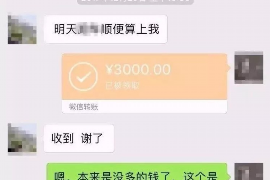 酉阳酉阳的要账公司在催收过程中的策略和技巧有哪些？